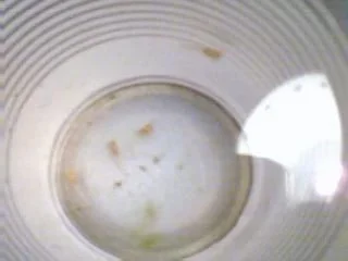 Image058.webp