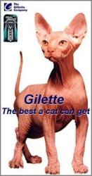 mac_3_cat.jpg