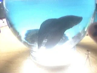 Picture_51.webp