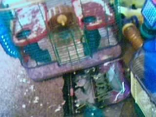 cage.webp