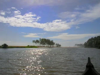 river.webp