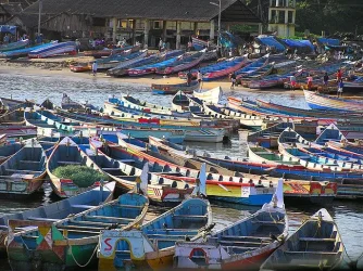 boats.webp