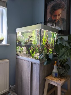 fish tank 2.jpg