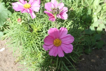 IMG_6010.webp IMG_6010.webp