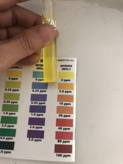 nitrate.webp