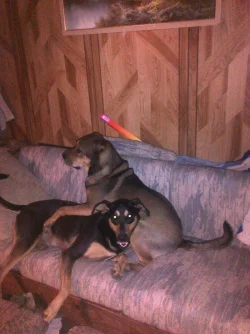 camelo_Cici_may25_2014.webp