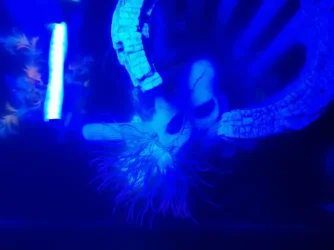 IMG_20220704_234327055.webp