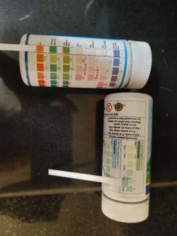 testing strips.webp