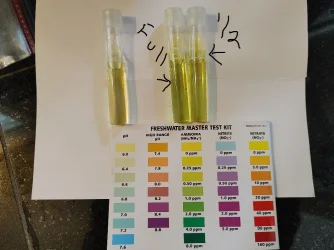 post water change.webp