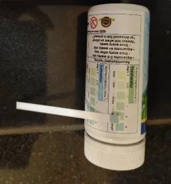 ammonia test.webp