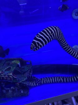 1539058E-4CE8-4D9F-B408-3A5364284CF1.jpeg