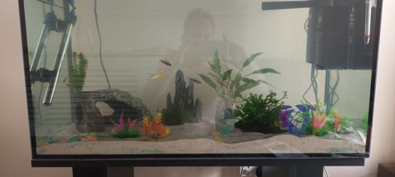 fishtank.jpg