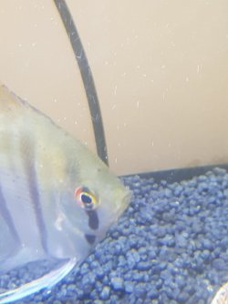 20220718_203104.jpg