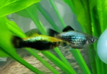 20220721_161910.webp