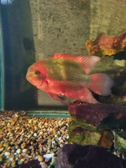 IMG_20220702_205601_HDR.webp