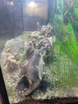 20220724_105741.webp