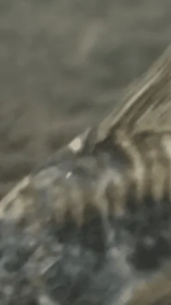 F2E7C6E2-FFF8-49BC-B1C0-D3A0CFEF65AF.webp
