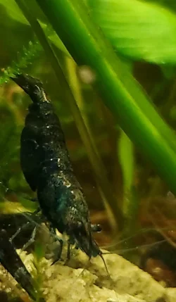 CM220809-213054006.webp
