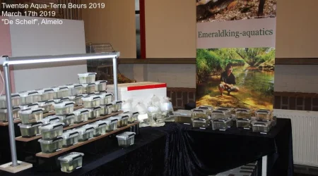 Twentse AquaTerra Beurs March 17th 2018 001a.webp Twentse AquaTerra Beurs March 17th 2018 001a.webp