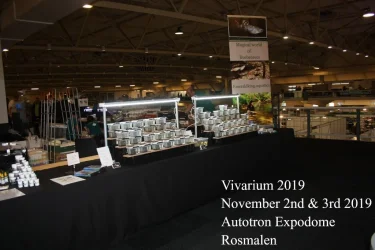 Vivarium 2019 November 2nd 2019 day 1 007x.webp Vivarium 2019 November 2nd 2019 day 1 007x.webp