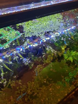 20220805_184341.jpg