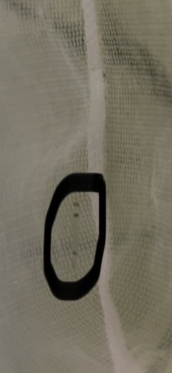 095AF391-3E5A-4574-B2F7-4331F27ACCFE.jpeg