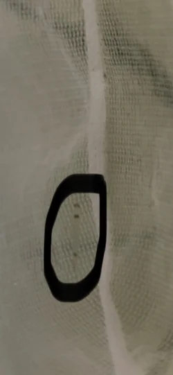 095AF391-3E5A-4574-B2F7-4331F27ACCFE.webp