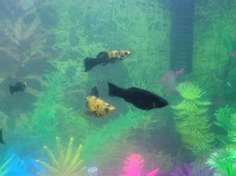 20220824_083650.webp