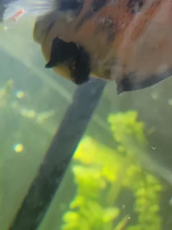 20220907_181620.webp