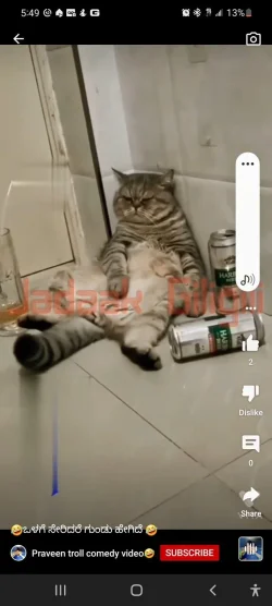 Screenshot_20211217-174925_YouTube.webp