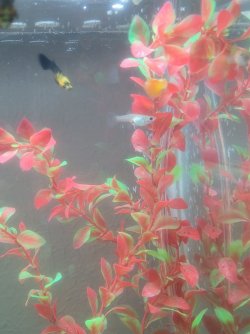 20220912_084735.jpg