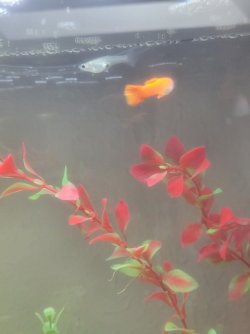 20220912_093436.jpg