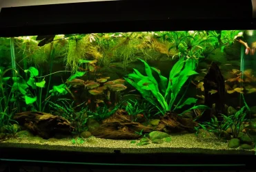 90g Nov 26-15.webp