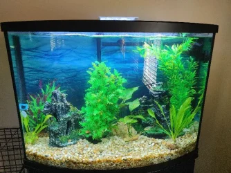 Tank.webp