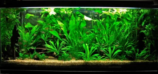 115g Nov 10-10.webp