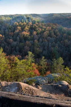 Red River Gorge 10b (1 of 1).webp