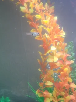20220915_150603.webp