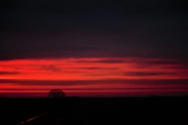 IMG_9140.webp