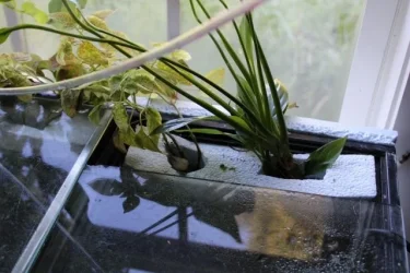 six plant holders (640x427).webp