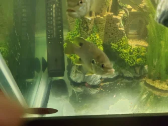 20220923_215445.webp