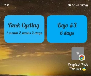 Screenshot_20220924-153028_One UI Home.webp