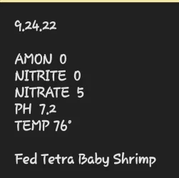 Screenshot_20220924_152048.webp