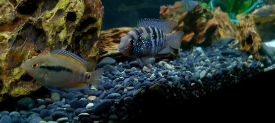 20220925_211145.webp