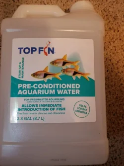 tf1.webp