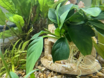 793789BF-FD00-4C82-A16A-68FE26700AA1.webp