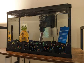 Main Tank.webp