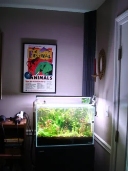 herbiboretank.webp