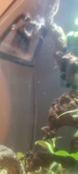 20221017_225611.jpg