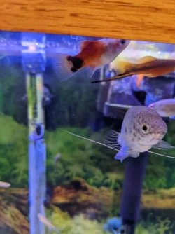 PXL_20221024_231454621.webp