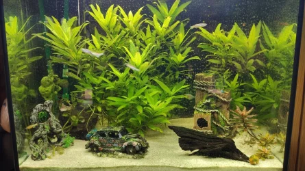120L Tank.webp